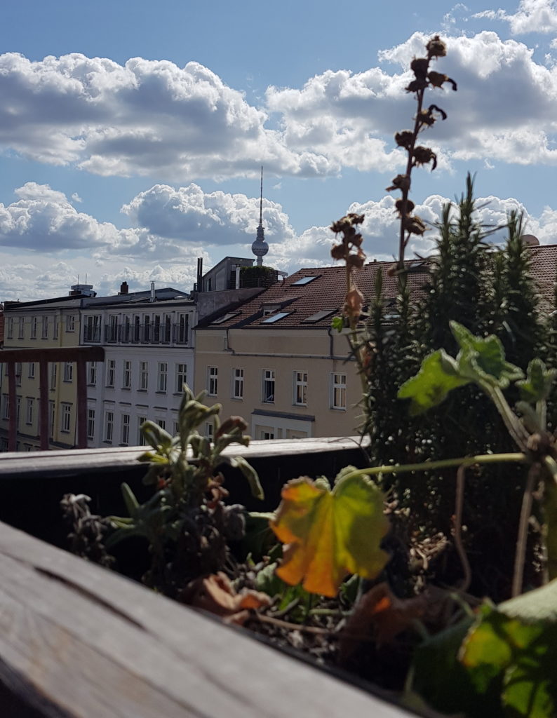 Glutenfrei in Berlin