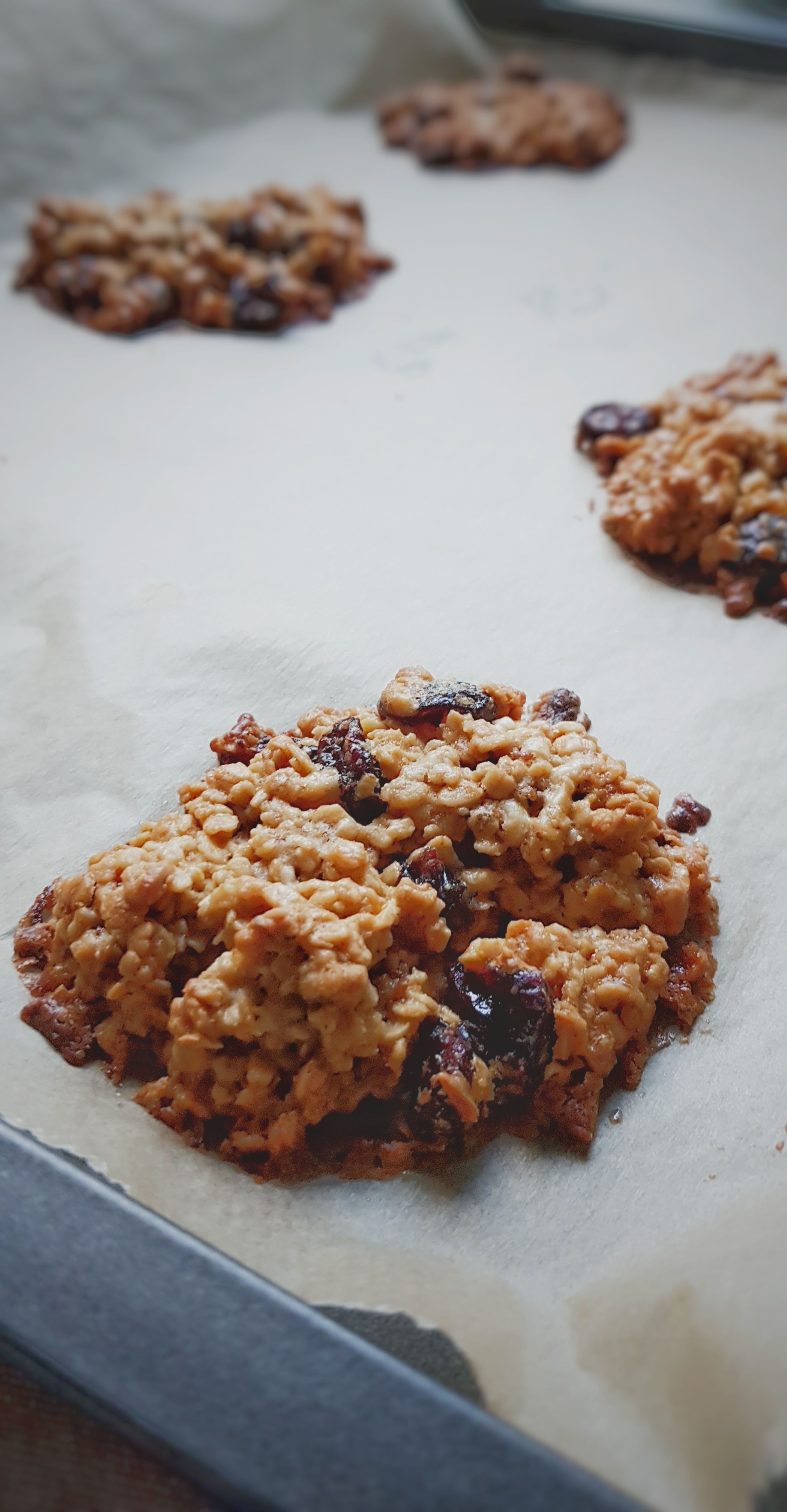 Gluten free cranberry oat cookies - enjoy gluten free